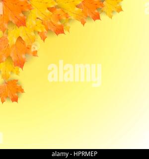 Autumn background with realistic maple leaves. Vector back to school banner. Thanksgiving Day greeting card Stock Vector