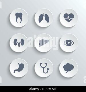 Medical icons set - vector white round buttons with heart stethoscope pulse tooth brain stomach lungs liver kidney eye Stock Vector