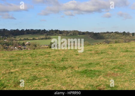 Farthing downs at Couldsdon Surrey, near London, England. It is Wintertime in the morning. Stock Photo