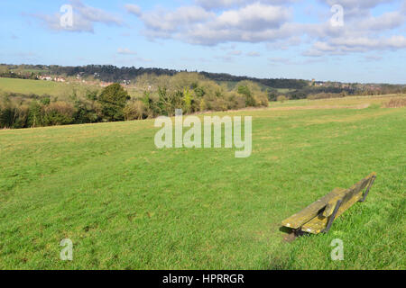 Farthing downs at Couldsdon Surrey, near London, England. It is Wintertime in the morning. Stock Photo