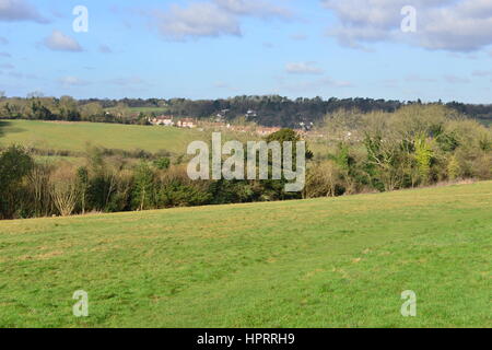 Farthing downs at Couldsdon Surrey, near London, England. It is Wintertime in the morning. Stock Photo