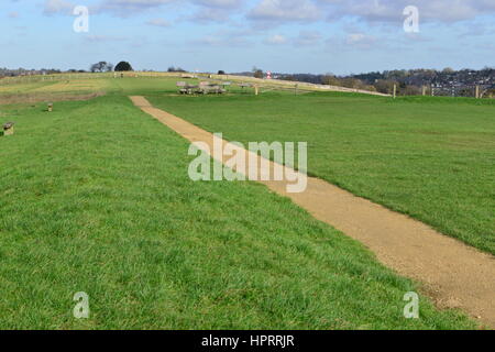 Farthing downs at Couldsdon Surrey, near London, England. It is Wintertime in the morning Stock Photo