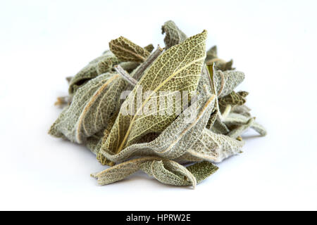 Pile of dried sage leaves isolated on white background Stock Photo