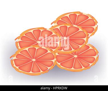Fresh grapefruit on white background Stock Vector