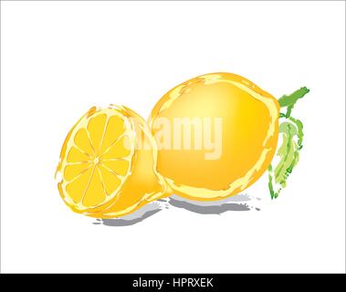 lemon and slices Stock Vector