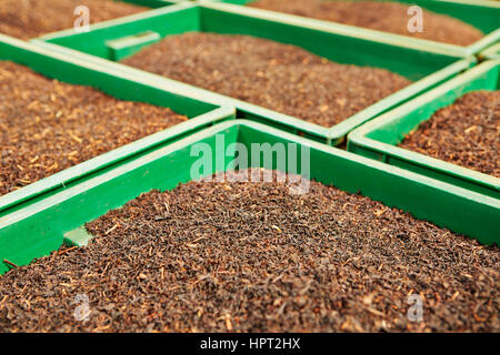 Boxes of tea in the tea factory warehouse. Stock Photo