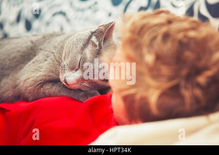 Young man with his russian blue cat at the home Stock Photo