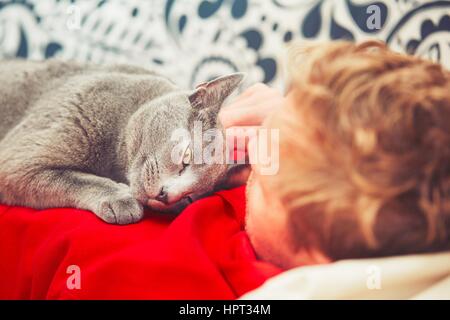 Young man with his russian blue cat at the home Stock Photo