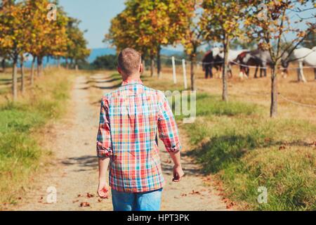 Summer in nature. Young man (farmer) walking on the footpath along the paddock horses.      resting under the tree and watching horses. Stock Photo