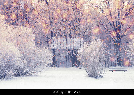 Bright xmas background. Christmas snowfall in snowy park. Color snowflakes on white trees background. Stock Photo
