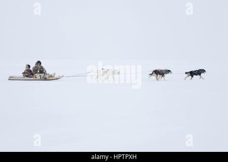 Inuits in Canada are hunting animals for fur Stock Photo