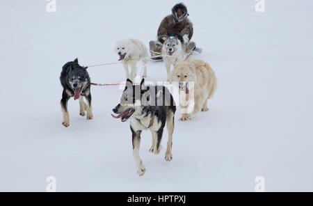 Inuits in Canada are hunting animals for fur Stock Photo