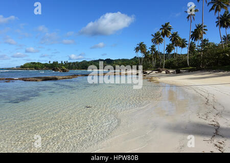 A postcard perfect sandy beach scene with clear, blue water, palm trees, and clouds dotting the blue sky.  Rincon Beach, Dominican Republic Stock Photo