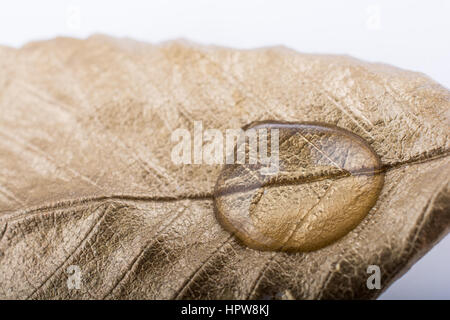 Water drops found on a gold color painted leaf Stock Photo