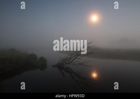 Misty night landscape, moon in foggy sky Stock Photo