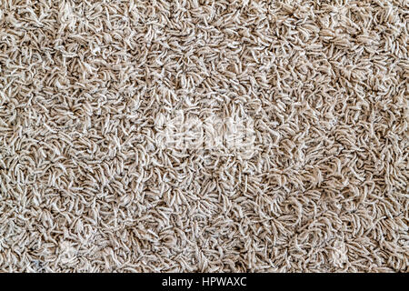 Light yellow shaggy carpet sample, a closeup shot of rug background texture. Knitted fabric Stock Photo