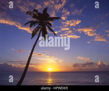 Tropical sunset, Darkwood Beach, Saint Mary’s Parish, Antigua, Antigua and Barbuda, Lesser Antilles, Caribbean
