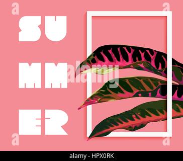 Tropical summer art with jungle nature decoration inside frame. Exotic pink plant in modern graphic background. EPS10 vector. Stock Vector