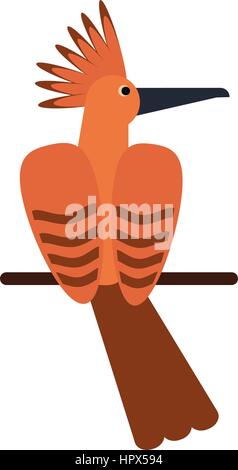 hoopoe bird exotic icon Stock Vector