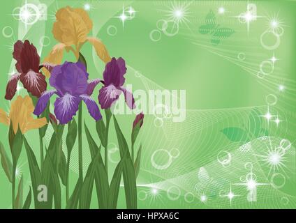 Irises flowers on an abstract green background with butterflies silhouettes. Eps10, contains transparencies. Vector Stock Vector