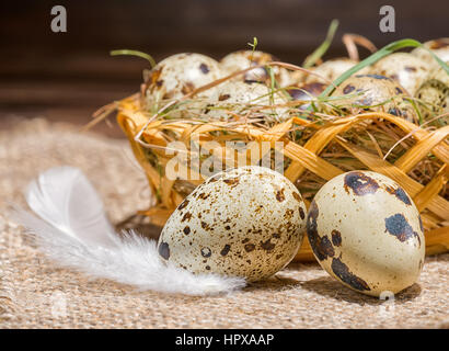 quail eggs with straw and feathers in basket on burlap wooden background, rustic style, close up Stock Photo