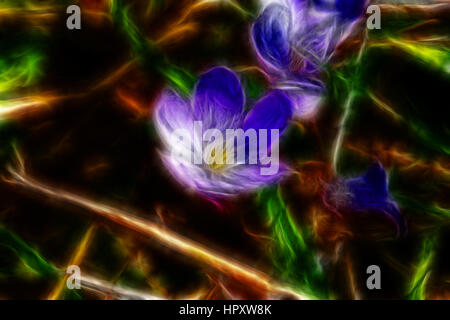 Abstract illustration of a fractal blue flower on blurred dark background with green and brown colors Stock Photo