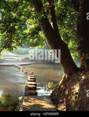 Box Hill Stepping Stones across River Mole, Box Hill, Surrey, England, United Kingdom Stock Photo