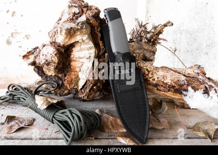 Knife with a fixed blade in a case on the stump and rope. Stock Photo