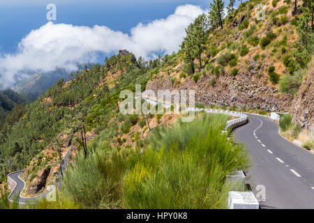 Road from Curral das Freirasto Montado do Paredao East, Madeira, Portugal. Stock Photo