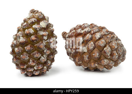 Stone pine cones, pinoli, on white background Stock Photo
