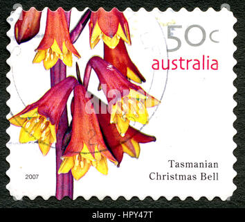 AUSTRALIA - CIRCA 2005: A used postage stamp from Australia, depicting an image of a Tasmanian Christmas Bell flowering plant, circa 2005. Stock Photo