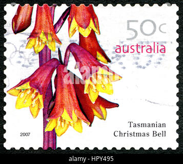 AUSTRALIA - CIRCA 2005: A used postage stamp from Australia, depicting an image of a Tasmanian Christmas Bell flowering plant, circa 2005. Stock Photo