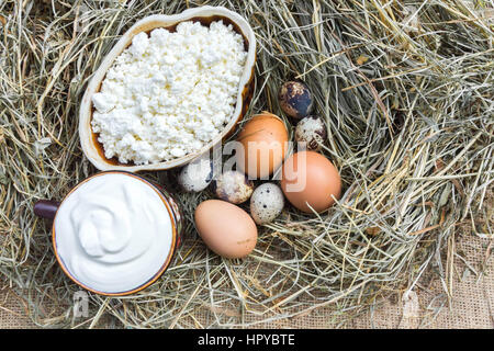 Rural cottage cheese, sour cream and various eggs on hay. View from above. Stock Photo