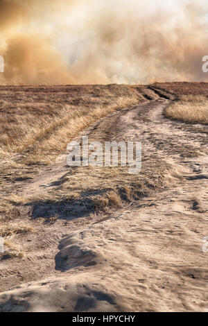 blur in south africa plant land bush and tree near the fire mountain hpychy