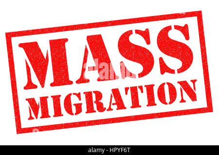 MASS MIGRATION red Rubber Stamp over a white background. Stock Photo