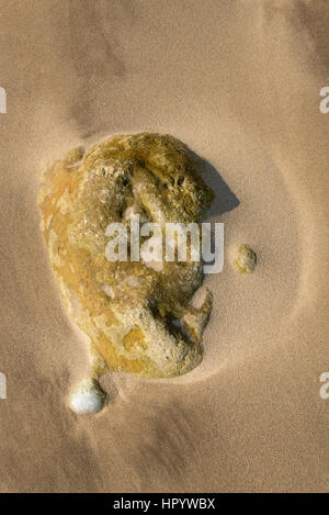 Coastal abstract of detail on the sandy beach at Cayton bay near Scarborough, North Yorkshire, England. Stock Photo