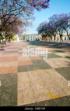 Alameda Vieja - Jerez de la Frontera - Spain Stock Photo