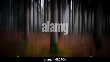 Abstract motion blurred trees in a forest. Stock Photo
