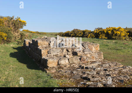 Hadrian's Wall: a stretch of Roman Wall near Black Carts, between Limestone Corner and Chesters Roman fort Stock Photo