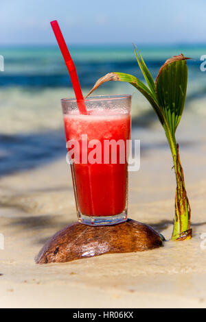 Melon juice on a sea beach. Glasses with red drink and straw stands on a fallen coconut. Exotic fruit refreshment beverage on a tropical vacation. Stock Photo