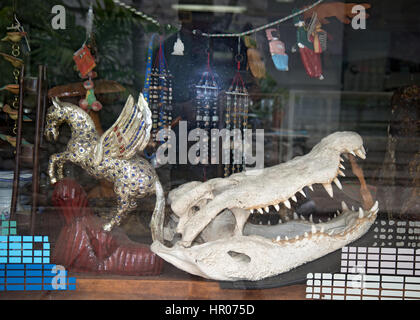 Crocodile skull in the gift shop, Crocodile Farm Samut Prakan Stock Photo