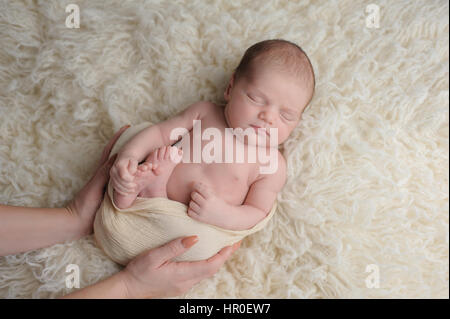 Sleeping, two week old, newborn baby boy swaddled in a cream colored wrap. He is being comforted by his mother's hands. Shot in the studio on a flokat Stock Photo