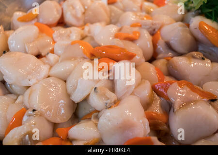 Scallop shell on the sands., Scallop is a common name that …