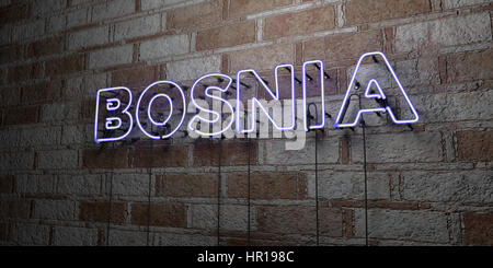 BOSNIA - Glowing Neon Sign on stonework wall - 3D rendered royalty free stock illustration.  Can be used for online banner ads and direct mailers. Stock Photo