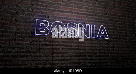 BOSNIA -Realistic Neon Sign on Brick Wall background - 3D rendered royalty free stock image. Can be used for online banner ads and direct mailers. Stock Photo