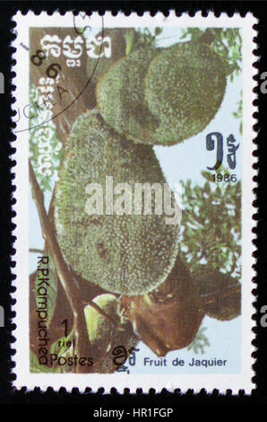 MOSCOW, RUSSIA - FEBRUARY 19, 2017: A stamp printed in Kampuchea shows Jackfruit a series of images 'Exotic fruits' circa 1986 Stock Photo