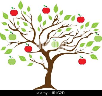 Apple tree with red apples vector illustration isolated on white ...