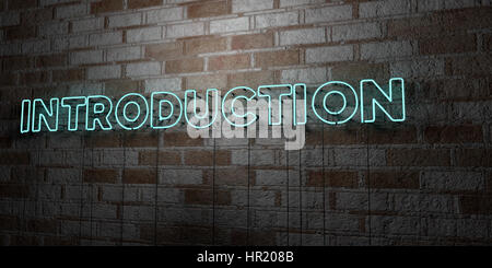 INTRODUCTION - fluorescent Neon tube Sign on brickwork - Front view ...