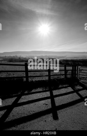 Sun shining on a shadow fence one bright day Stock Photo - Alamy