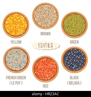 Different types of lentils in ceramic bowls (yellow, brown, green, red, french green, black lentils. Vector illustration. For culinary, shop, restaura Stock Vector